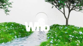 Who (Beautiful Mind Remix) Image